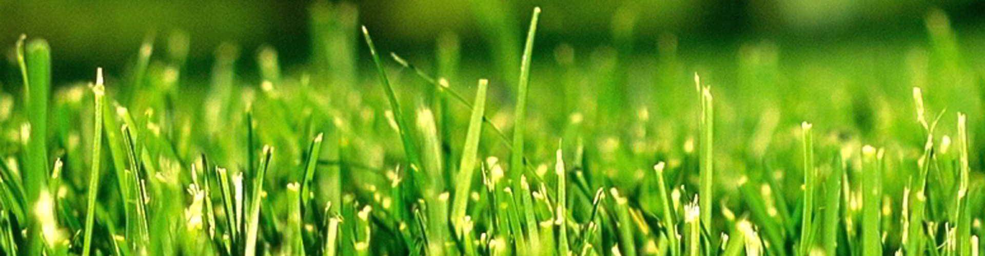 Slide background