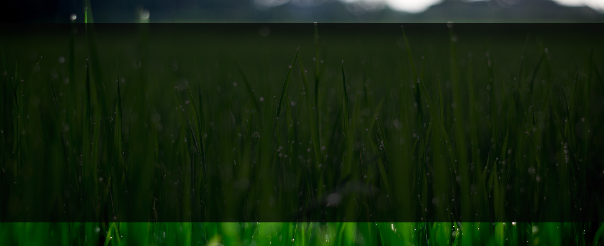 Slide background